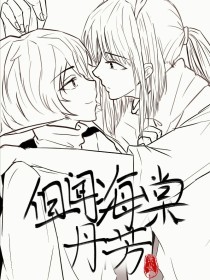 深入了解 破解家庭摄像头 1080p